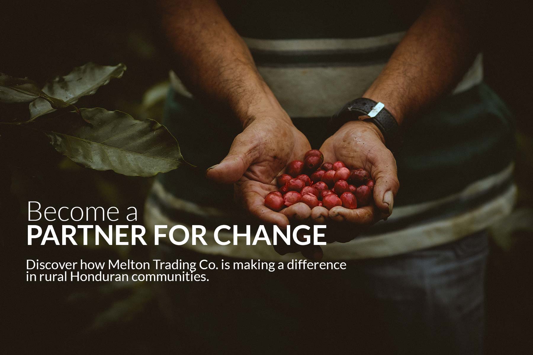 Partners for Change in Honduras | Melton Trading Co.